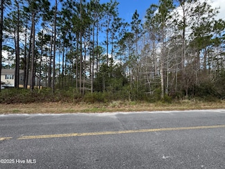Lot 20 Lumberton Rd, Boiling Spring Lakes, NC 28461