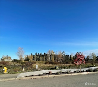 9999 Mccurdy Rd Unit Lot 1, Sequim, WA 98382