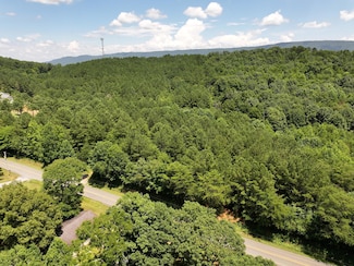 00 County Rd, Etowah, TN 37331