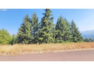 0 Hiland Ranch Dr Unit 3300 22608132, Oakridge, OR 97463