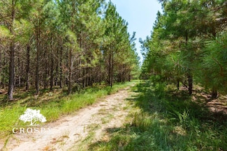 0 Jabez Poyner Rd, Carlton, GA 30627