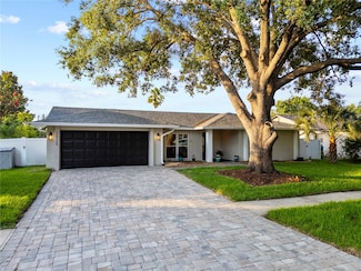 3925 Dunaire Dr, Valrico, FL 33596