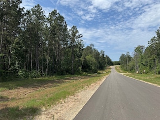 15810 Ridge Rock Rd, Willis, TX 77378