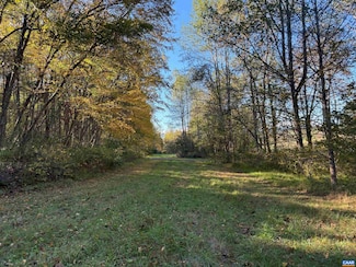 Lot E, TM 24-30 W Hoover Rd, Reva, VA 22735