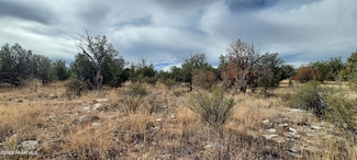 32399 W Avenida Bailar Lot #2973, Seligman, AZ 86337