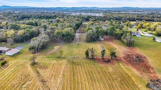 0 Rutledge Lane Tract 12, Lebanon, TN 37087