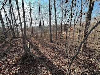 13 Wagon Creek Loop, Creal Springs, IL 62922