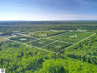 15 Acres D Wallin Rd, Thompsonville, MI 49683