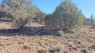 54593 Thunderbird Ln, Seligman, AZ 86337