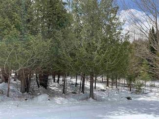 Lot 19 Keegan Ct, Wittenberg, WI 54499