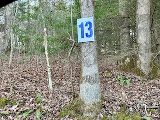 Lot 13 Hensley Rd, East Bernstadt, KY 40729