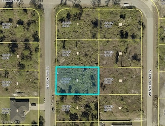 339 Brook Ave S, Lehigh Acres, FL 33974