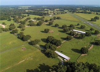 TBD35acres NW 165th St, Reddick, FL 32686