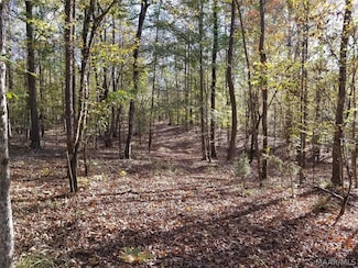 0 Lakeview Ct Unit 557181, Wetumpka, AL 36092
