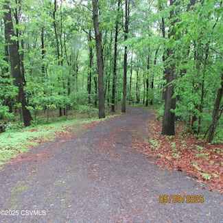 483 Foye Rd, Sunbury, PA 17801