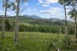0 Quakey Ln Unit 4 42748, Telluride, CO 81435