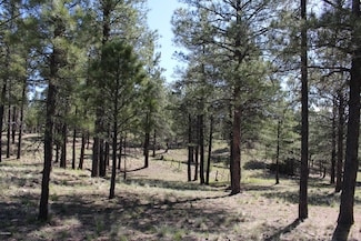 2980 S Solitaires Canyon Dr Unit 349, Flagstaff, AZ 86005