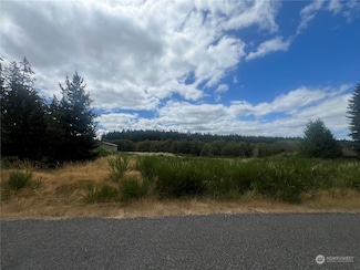 9110 Johnson Rd, Anderson Island, WA 98303