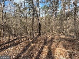 LOT 29 Mountain River Way, Levels, WV 26763