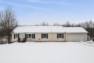 14825 Larsen Ave, Gowen, MI 49326