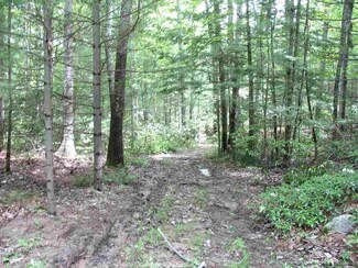 49 Braziel Heights, Kerhonkson, NY 12446