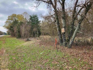 LOT 8 Farm To Market Road 1253, Mineola, TX 75773