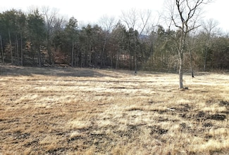 179 Silver Sunset Ln, Kimberling City, MO 65686