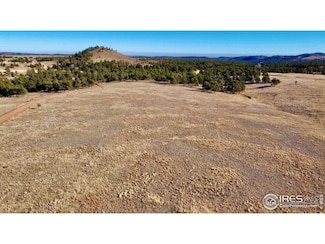 0 Walno Ave Unit 1022785, Livermore, CO 80536