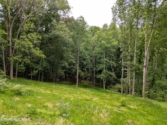 800 Lake Forest Dr, Lenoir City, TN 37772