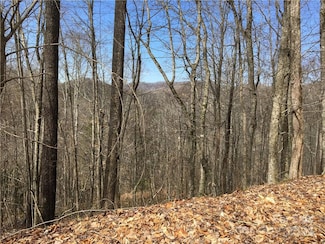 TBD Fern Hill Dr Unit 28-29, Mars Hill, NC 28754