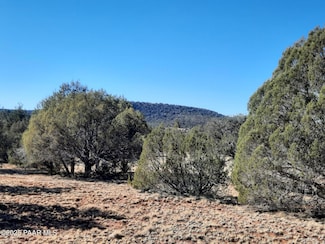 Lot 74 Forest Acres, Seligman, AZ 86337