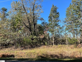 00 Dillard Rd, Waterloo, SC 29384