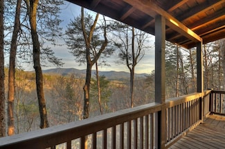 355 Cohutta Mountain Rd, Cherry Log, GA 30522