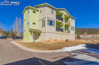 560 E Grace Ave, Woodland Park, CO 80863