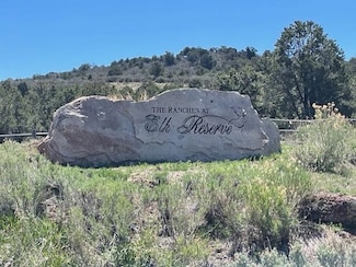 Lot 16 Elk Reserve Rd, Glade Park, CO 81523