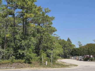 0 9 Mile Rd, Newport, NC 28570