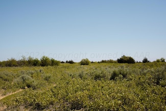 0 Pavolosky Place Unit 25-4836, Shamrock, TX 79079
