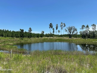 000 NW Camp Head Rd, Altha, FL 32421