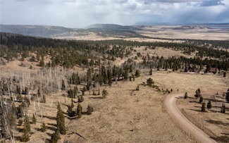 161 Kaufman Rd, Hartsel, CO 80449