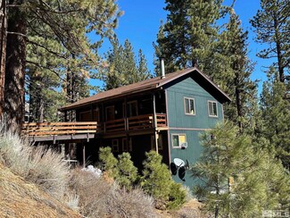 60 Lava Cap, Markleeville, CA 96120