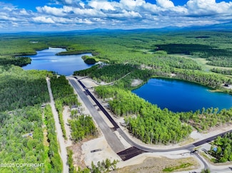 20099 E Caswell Lakes Rd, Willow, AK 99688