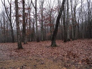 0 Hwy 57 Hwy Unit 3271047, Michie, TN 38357