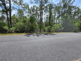 00 W Bluebell Ave, Eustis, FL 32736