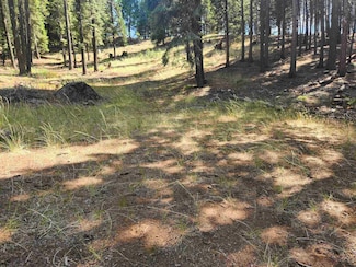 110 Marion Trail, Lake Almanor West, CA 96020