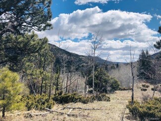 62 Bear Paw Ct, Antonito, CO 81120