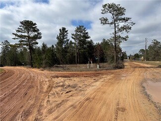 (29) Chatterton Church Rd, Nicholls, GA 31554