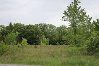 VL S Beyer Rd, Birch Run, MI 48415