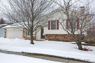 1357 N Lyle Ave, Elgin, IL 60123
