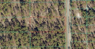 TBD LOT 11 SW Deer Park Heights Rd, Rainbow Lakes Estates, FL 34431