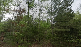 135 Elam Springs Cemetery Rd, Big Sandy, TX 75755